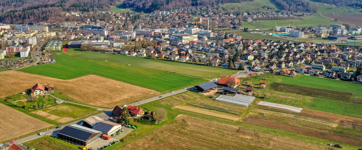 A town with a mix of residential houses, commercial buildings, and green fields.