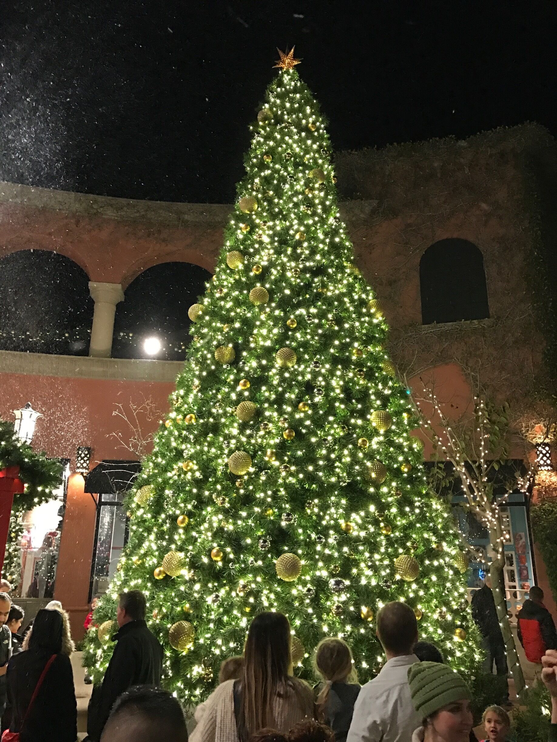 It is snowing in California!