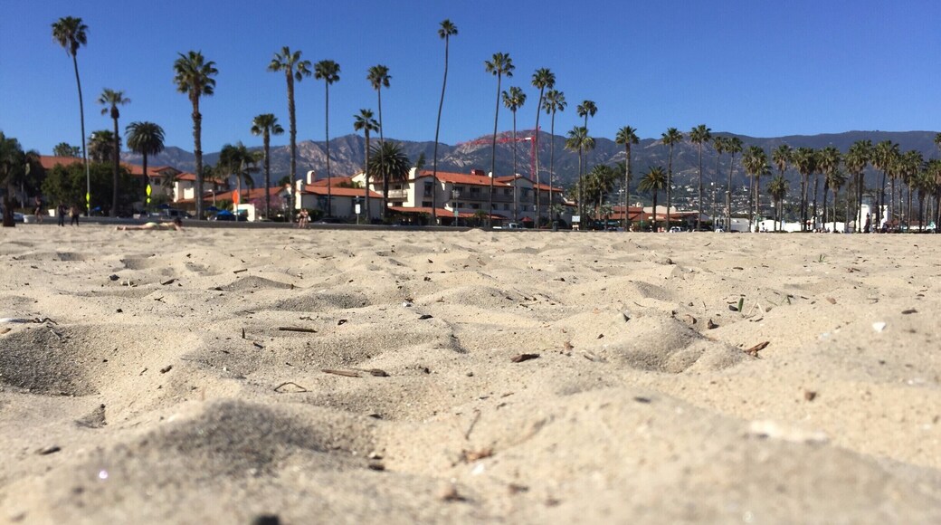 The West Beach area of the Santa Barbara waterfront has a lot of offer, but the beach itself is best for volleyball, kayaking, and boating. Because it’s so close to the harbor, swimming is not advised from the beach. Look for parking along Cabrillo Blvd, in the lot just east of the pier at Garden Street, or even on the pier. Laying in the sand, look back for a gorgeous view of the mountains over the red tile roof buildings.
#SantaBarbara
#California
#beach
#beachbound
#lifeatexpedia
#weloveourmarkets
#AMER
