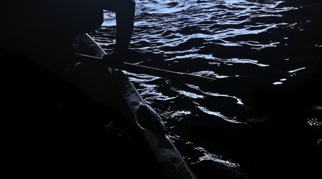 Kayaking sea caves was scary, challenging and dangerous. In the end it was worth it.