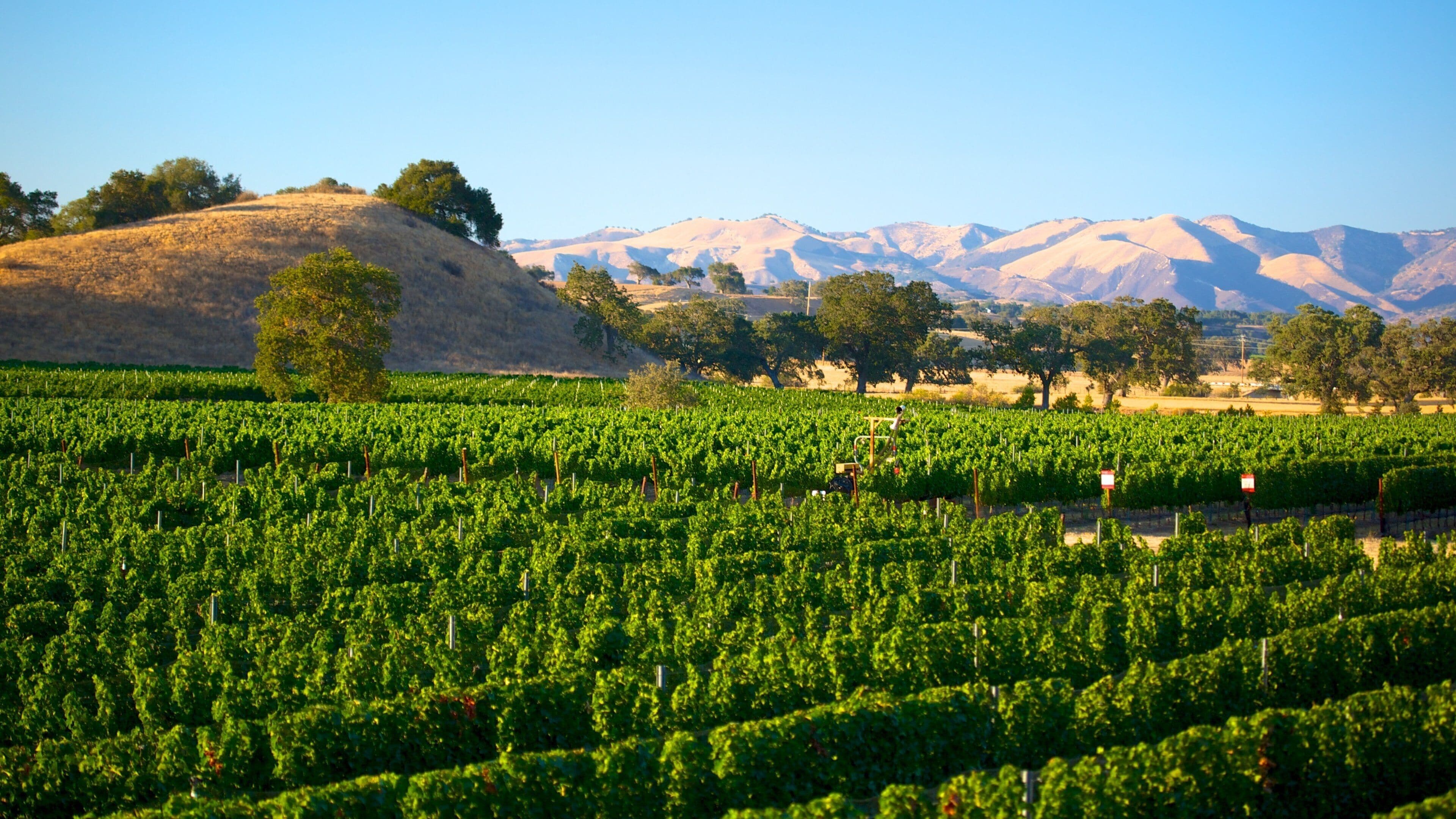United States of America which includes farmland