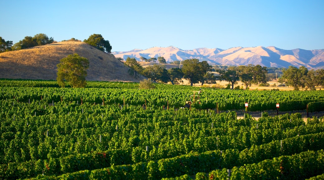 United States of America which includes farmland