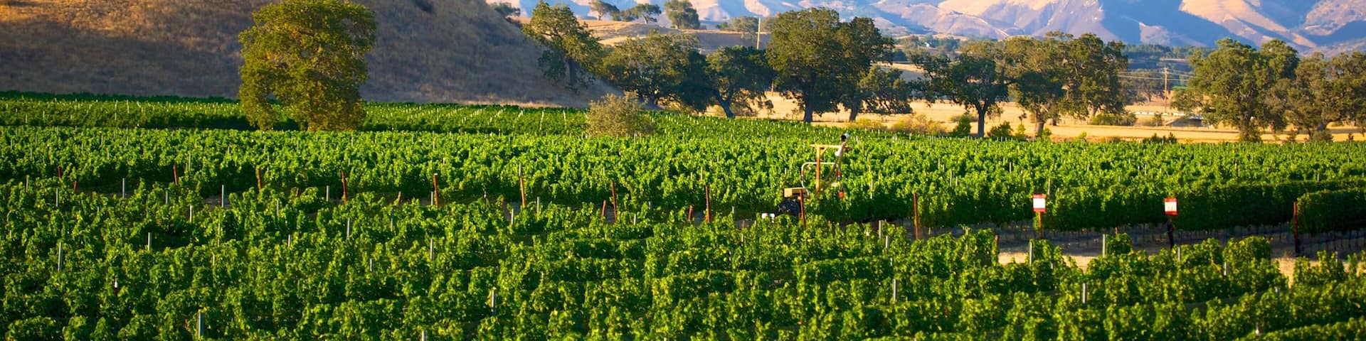 United States of America which includes farmland