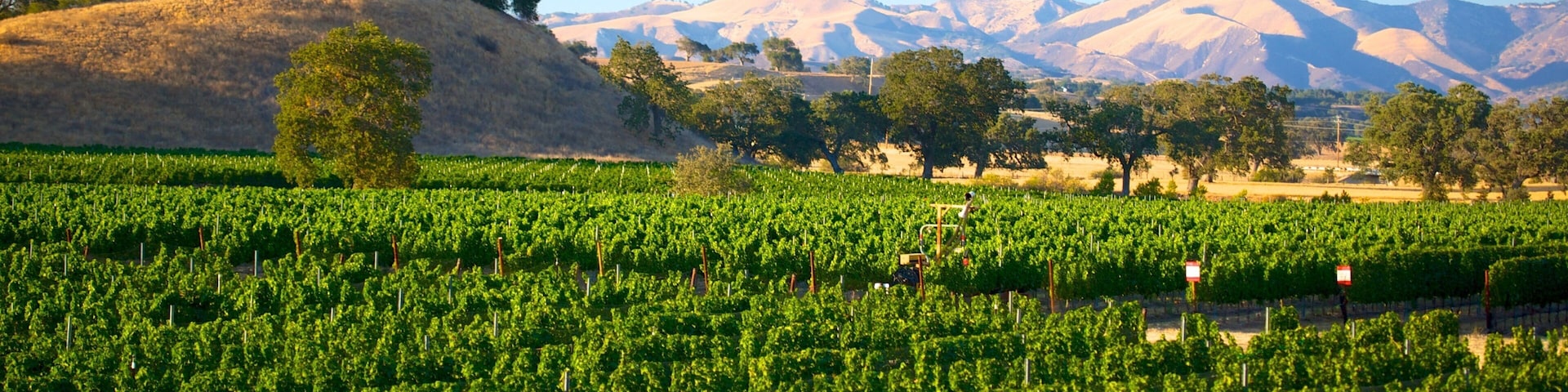 United States of America which includes farmland