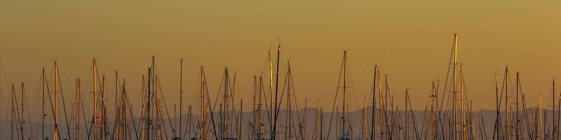 Dawn kayaking in Santa Barbara Harbor. Gentle, serene and perfect for a early morning outing.
#santabarbara #natgeo #artofvisuals #natgeotravel #NatGeoYourShot #beautifuldestinations #nikon #sonyalpha TLPicks #livetravelchannel
#theglobewanderer #RTWChat #PassionPassport #ilovetravel #travelblogger #BDTeam #tourtheplanet #bestintravel #roamtheplanet
#picoftheday #ExploringTheGlobe #travel #traveltheworld #bbctravel #aroundtheworld #instatravel #fodorsonthego #lonelyplanet