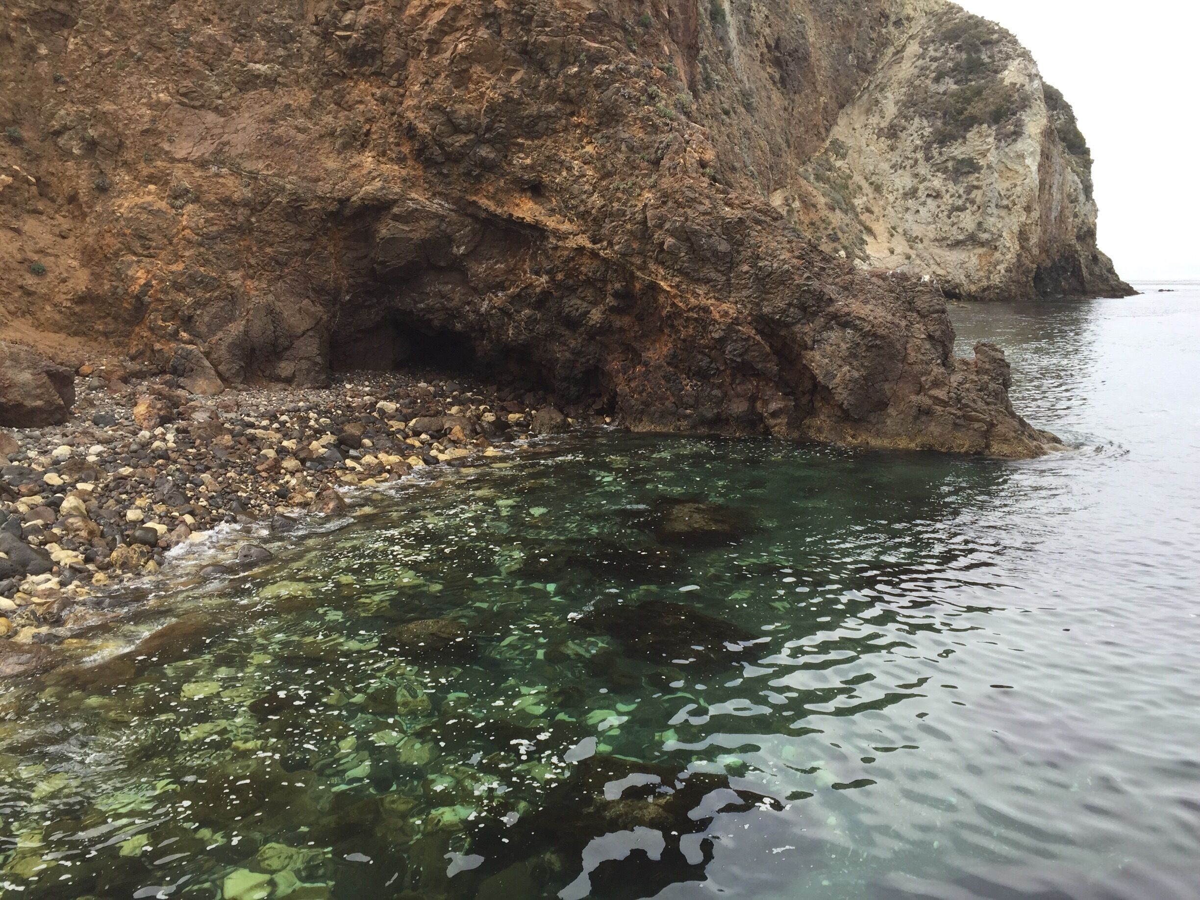 Clear view to the bottom of Scorpion Bay at the single pier where Island Packers' catamaran drops off campers and hikers.