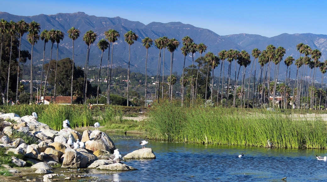 A marshland next to a public beach. Situated about 100 miles north of Los Angeles, Santa Barbara, is being promoted as the "American Riviera" due to her Mediterranean-like climate.