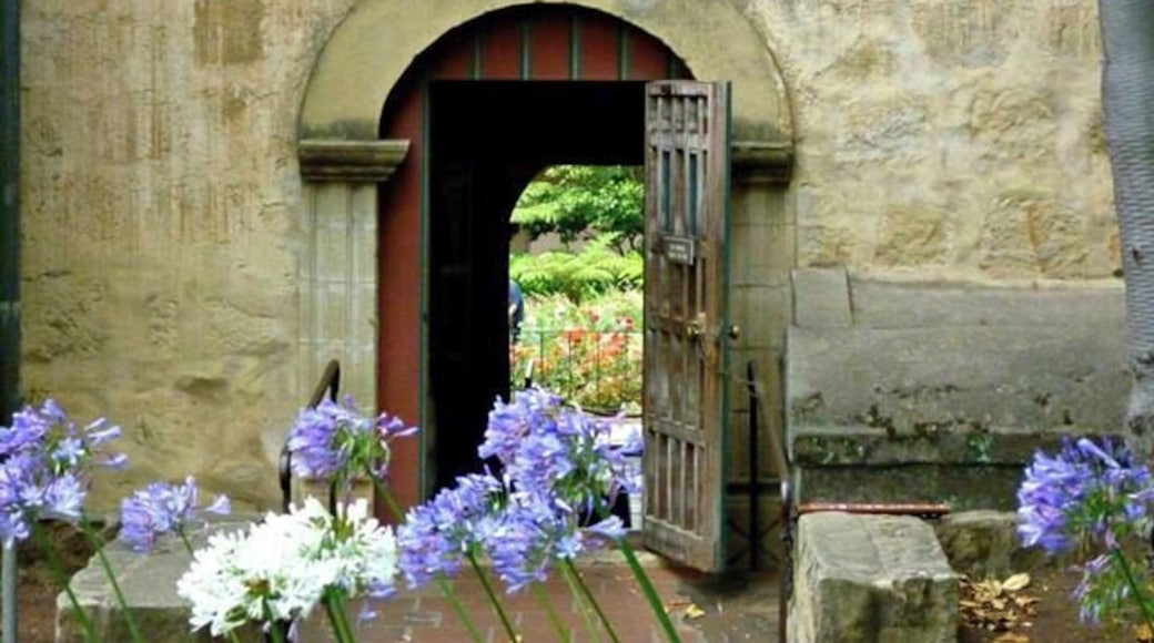 Lots of history and beautiful gardens at the Mission. This isn't a whole day activity. We got up early and were back to the hotel before the rest of the family woke up!