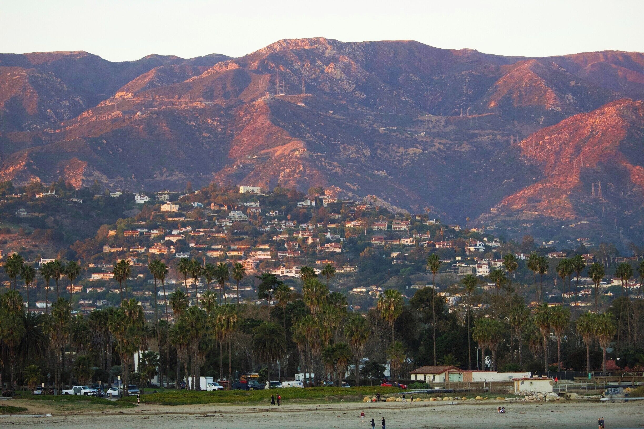 Purple Mountains Magesty