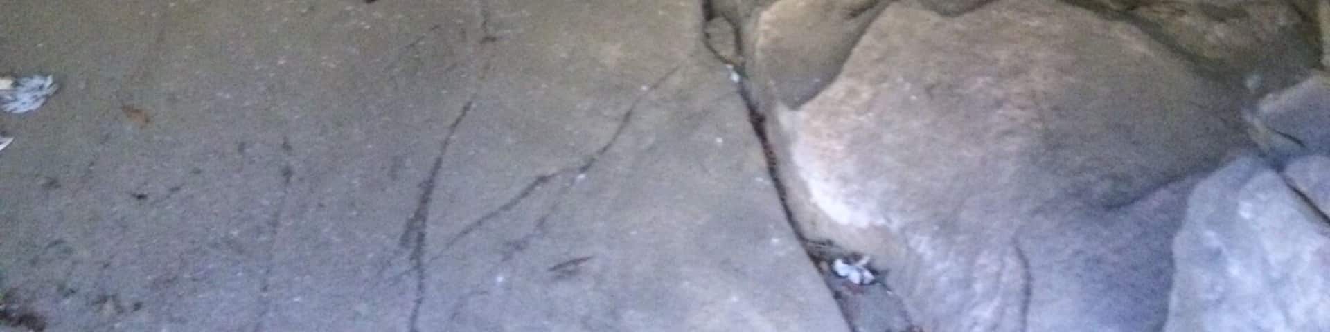 Chumash pictographs though to represent shaman's visions of the supernatural.