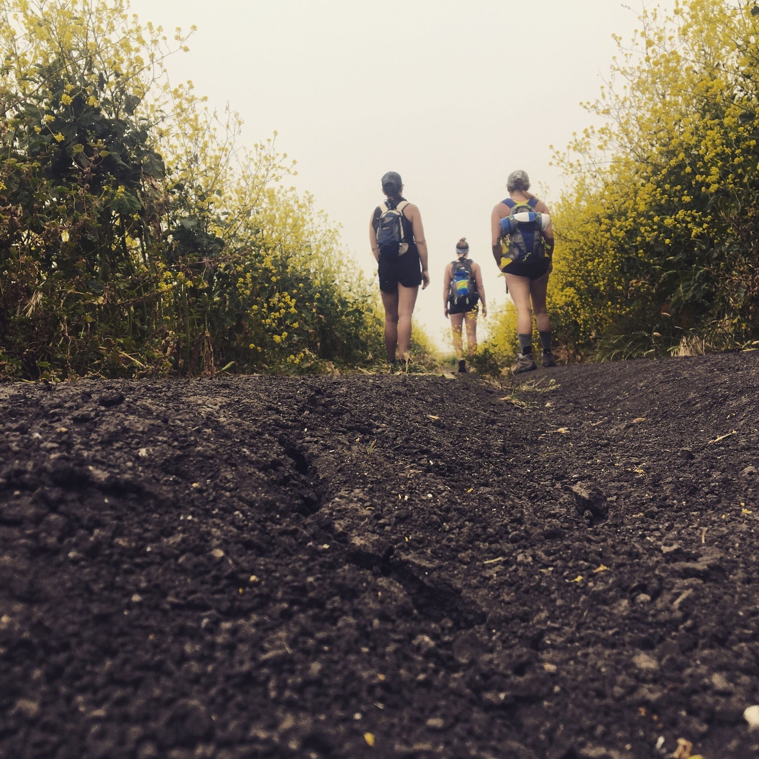 It's nice to get off the grid and spend some time outdoors. People can spend plenty of time together but actually communicating is a different story. 