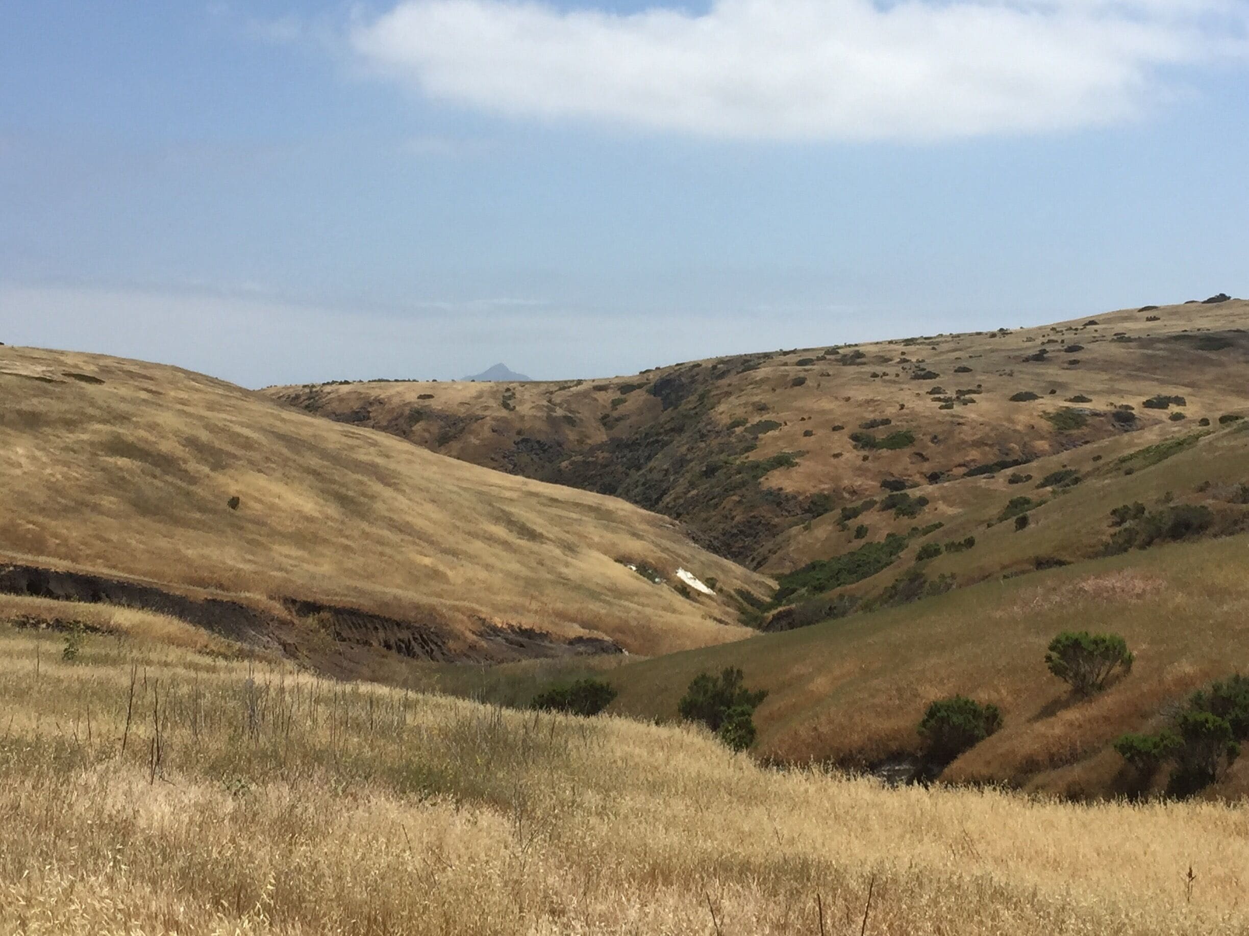 Delicious solitude on the Scorpion Canyon Loop.
