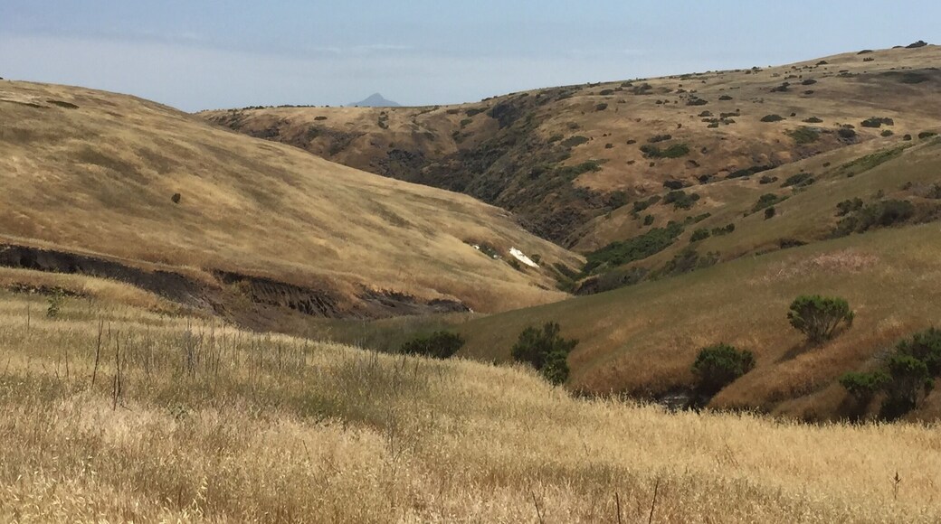 Delicious solitude on the Scorpion Canyon Loop.