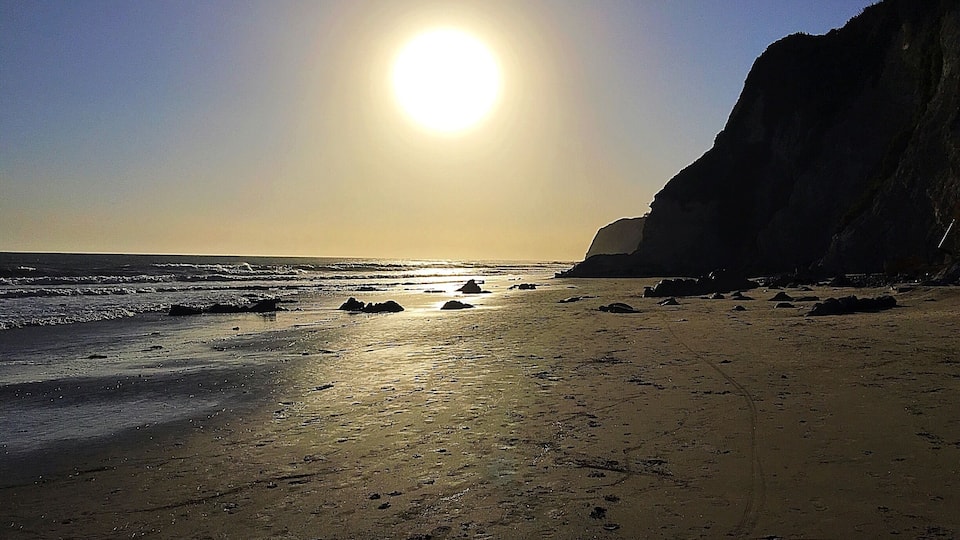 Walk on the beach celebrating my parents vow renewal