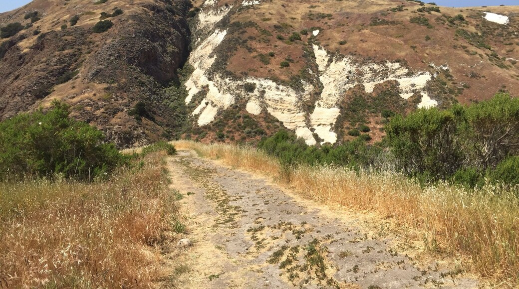 Scorpion Canyon Loop trail. Easy going clockwise. Tougher counter clockwise.