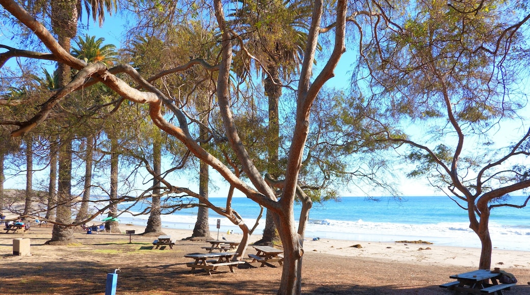 Carpinteria