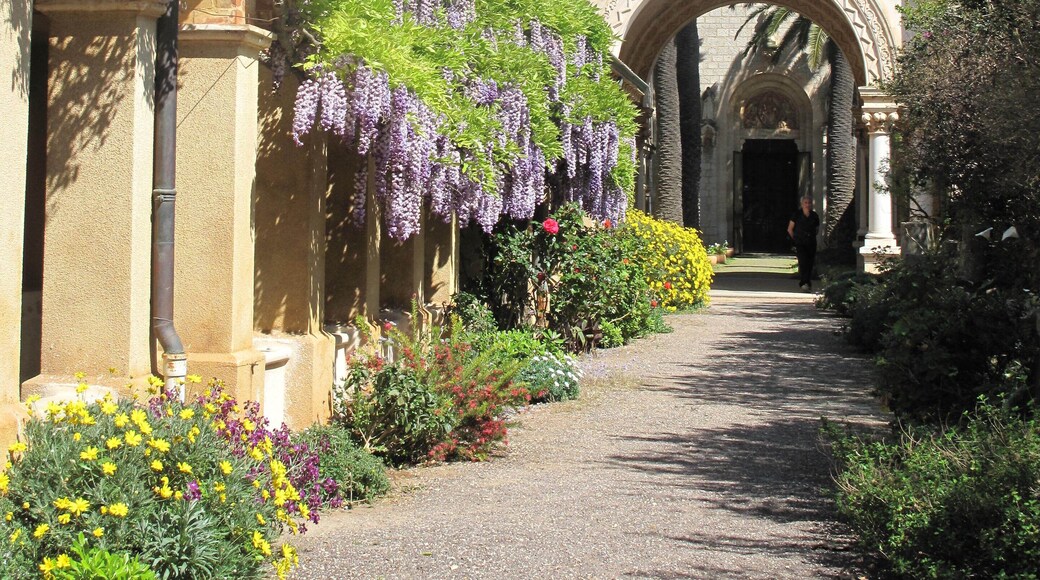 Yard of the church of the Lerins abbaye on Saint-Honorat island (Alpes-Maritimes, France).