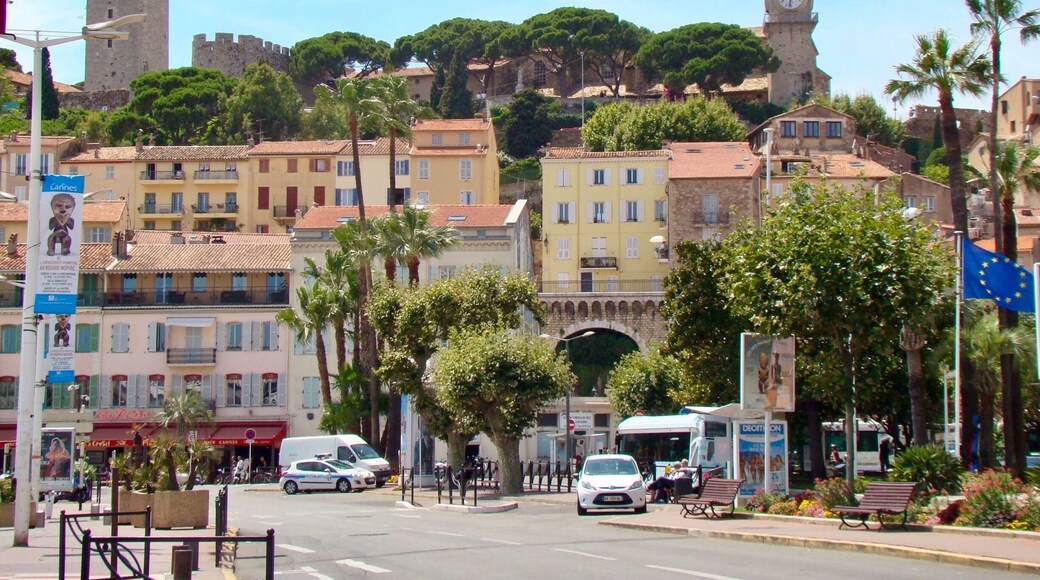 Cannes Pays de Lérins