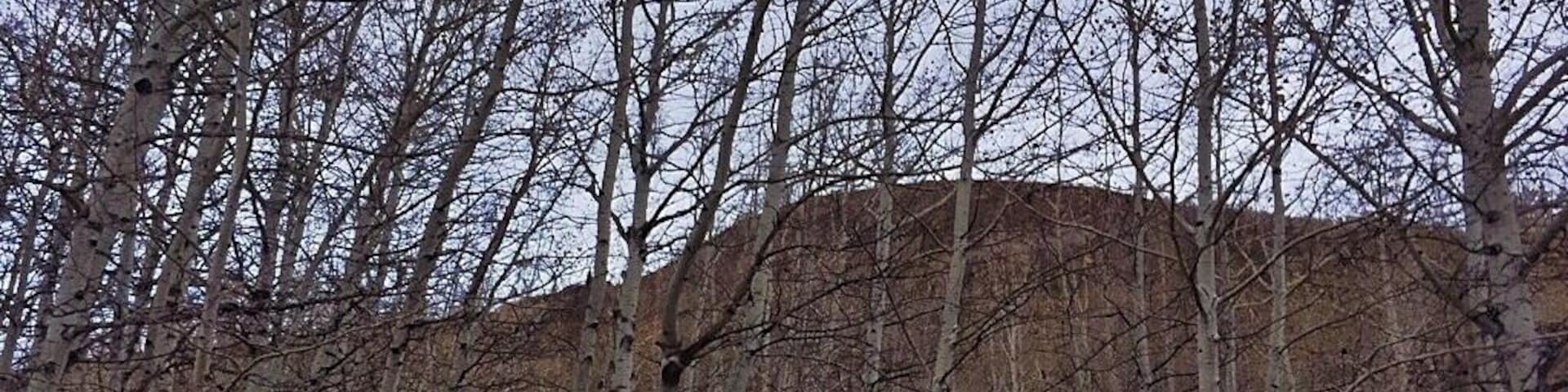 This old miner cemetery is located in Park City Mountain Resort. There are several markers for workers that died in an explosion in the mine who's bodies were never found. I never even knew this was here, it was awesome.