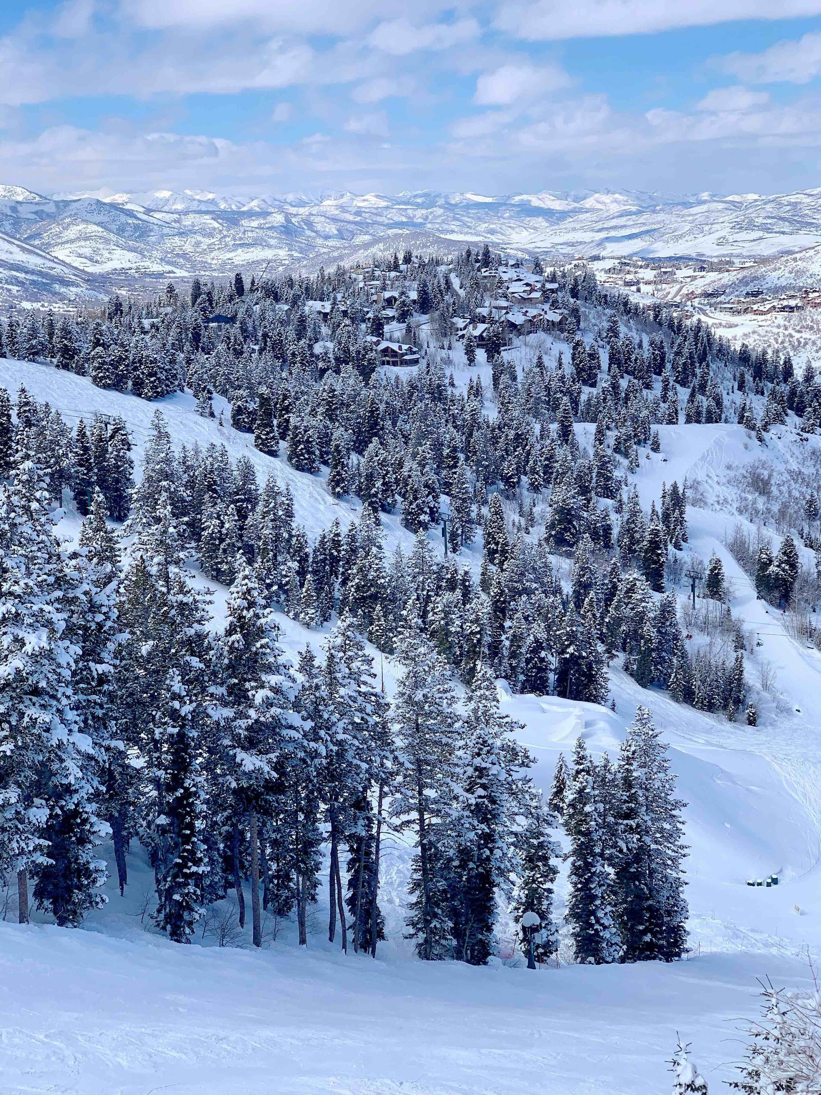 A snow-covered mountainous landscape with dense forests and a small settlement.