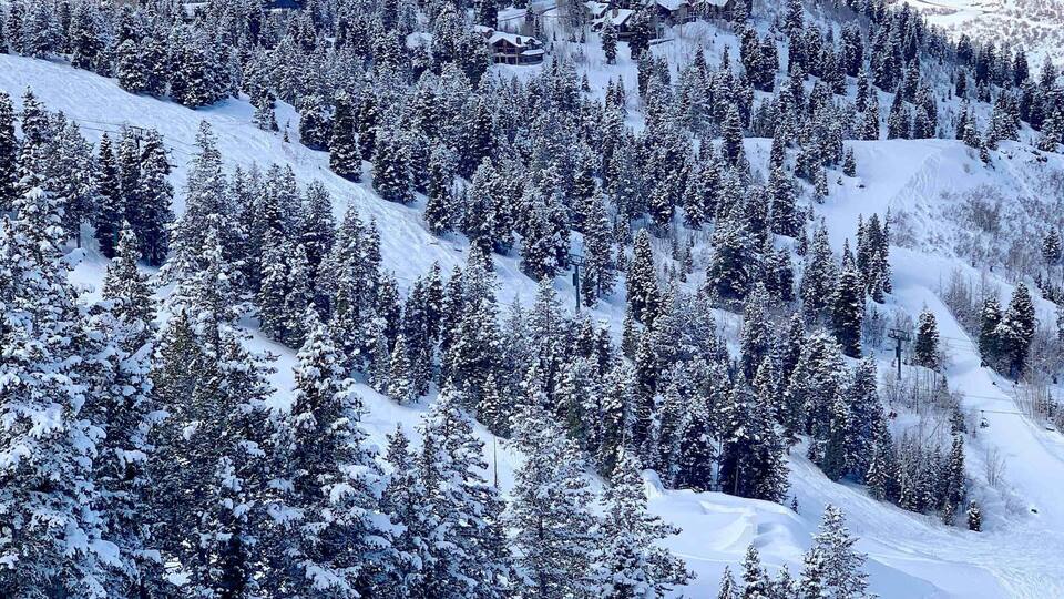 A snow-covered mountainous landscape with dense forests and a small settlement.