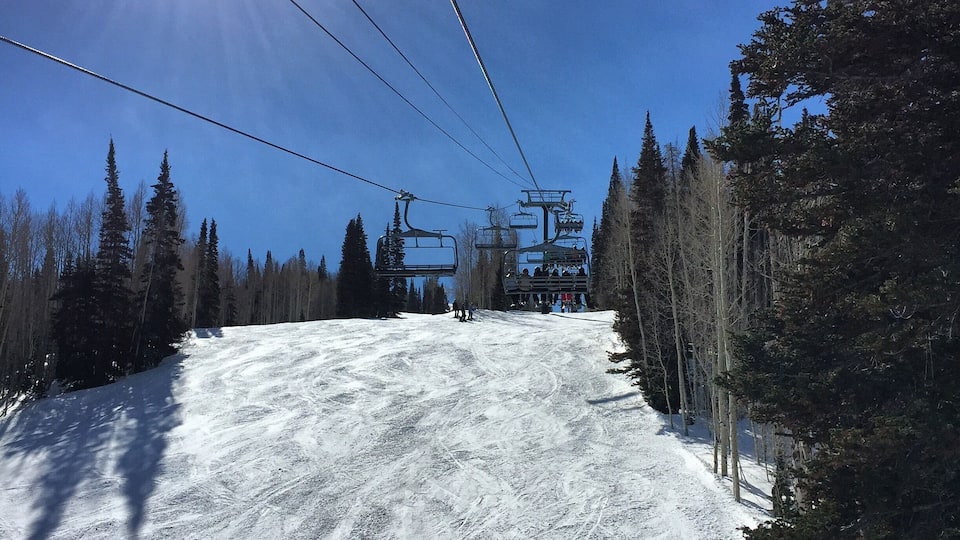 Home. Bluebird Day.