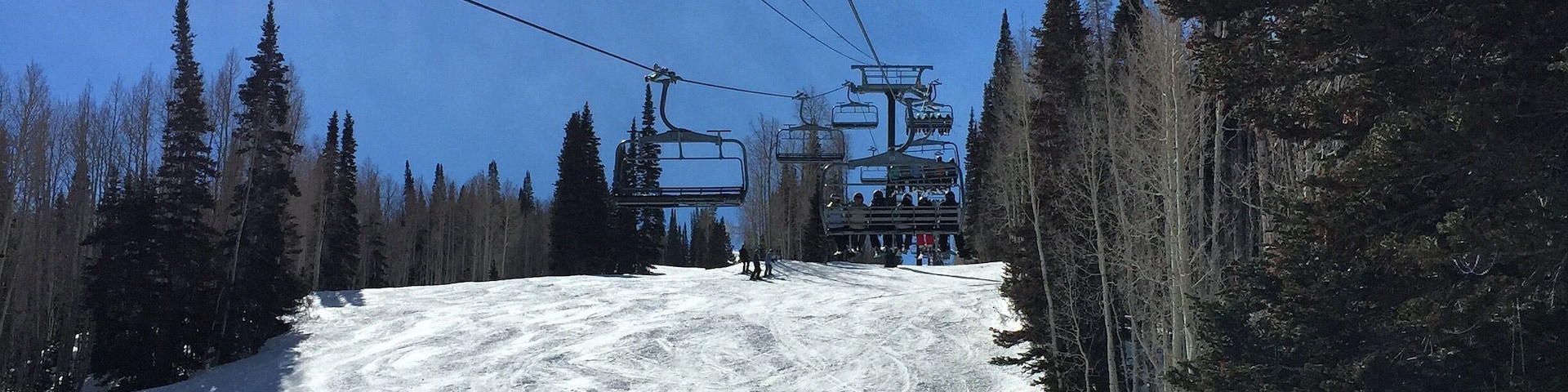 Home. Bluebird Day.
