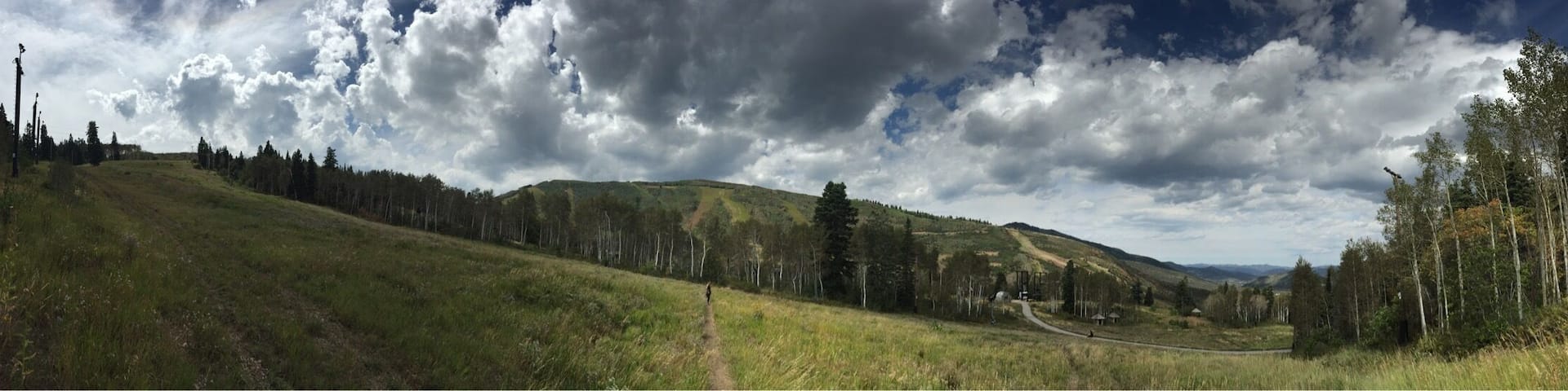 Sun or snow. Simply beautiful 🌲❤️