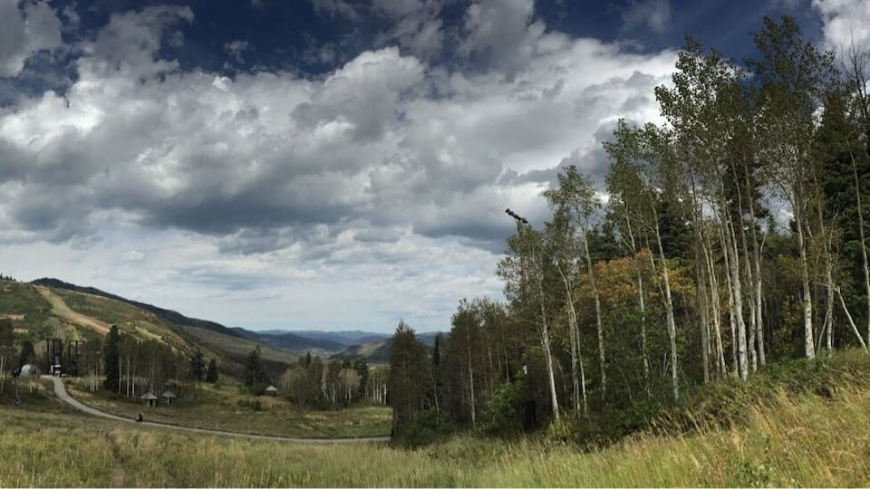 Sun or snow. Simply beautiful 🌲❤️