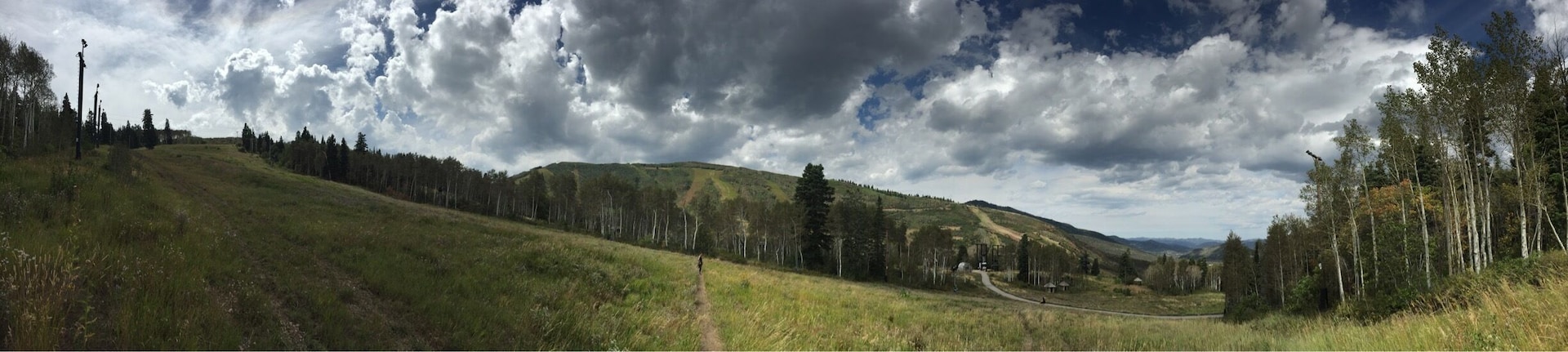 Sun or snow. Simply beautiful 🌲❤️