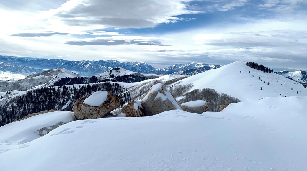 Went on a Ski trip Last weekend and the weather was amazing. The views from the mountain top breathtaking.
#parkcityutah #deervalley #deervalleyresort #lonecoyotestudio #skiutah #mountainscapes #utahphotography #utahadventures #utahadventure #thingstodoinutah #skier #skierslife #perfectconditions #skilife #skinglifestyle #utahexperience #utahexplored #exploreutah #thrivingchristianartists #wonderingphotographies #baldmountain #baldmountainsummit #takingintheview #stoptoenjoytheview #lovingutah #onlyinutah #thisiswhy #neverstopplaying #sundancefilmfestival #nealdodson