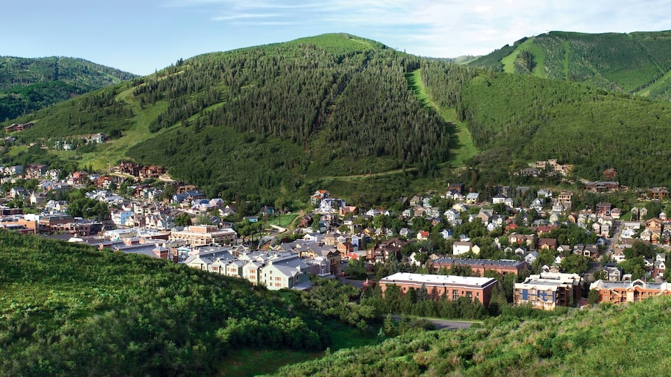 A town nestled in a valley with a forested mountain backdrop.