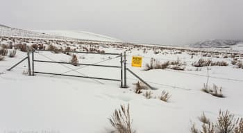 Trying to take a photo when you are waist deep in snow was definitely a new experience for me on this day. Was inspired by the contrast of the yellow against the clean white snow.
#parkcity
#parkcityutah
#promontory
#promontoryutah
#kimballjunction
#kimballjunctioutah
#starpointetrailhead
#starpointetrailheadparkcity
#lonecoyotestudio
#nealdodson