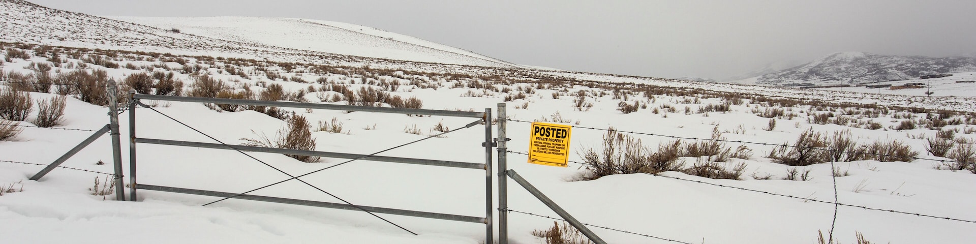 Trying to take a photo when you are waist deep in snow was definitely a new experience for me on this day. Was inspired by the contrast of the yellow against the clean white snow.
#parkcity
#parkcityutah
#promontory
#promontoryutah
#kimballjunction
#kimballjunctioutah
#starpointetrailhead
#starpointetrailheadparkcity
#lonecoyotestudio
#nealdodson