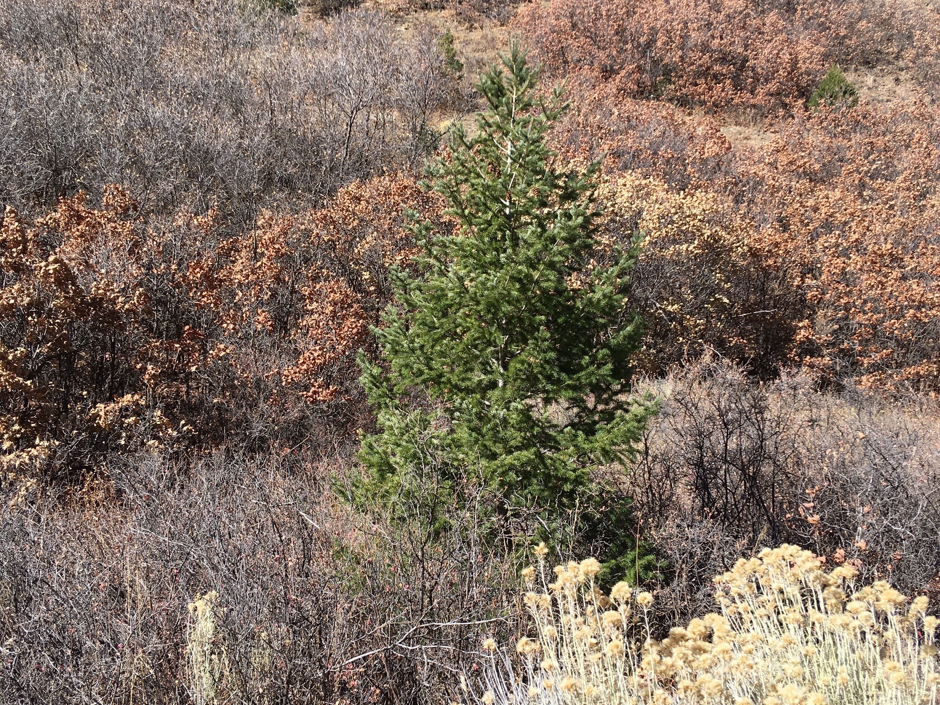 Beautiful views, perfect for hiking and relaxing