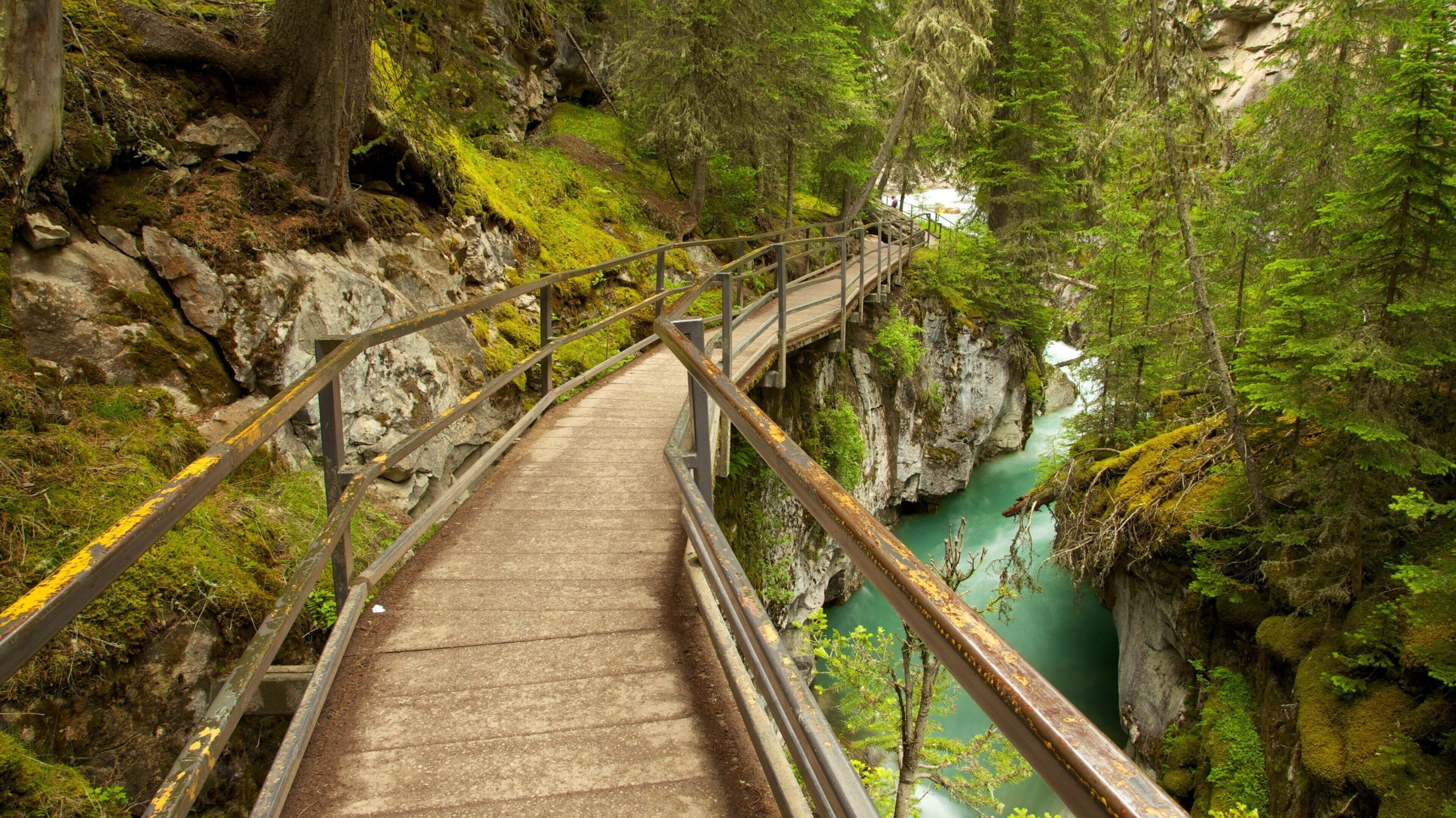 Johnston Canyon featuring rapids, a garden and a river or creek