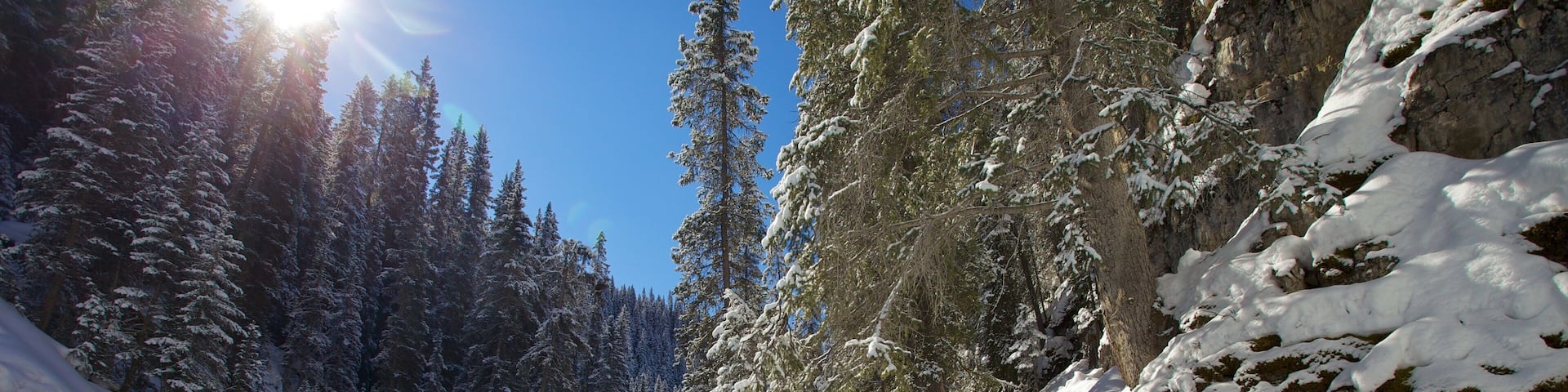 Johnston Canyon showing hiking or walking, a bridge and snow