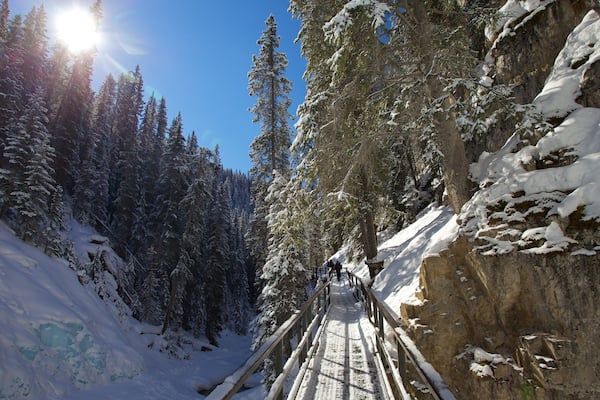 Johnston Canyon montrant paysages, randonnée ou marche et un parc