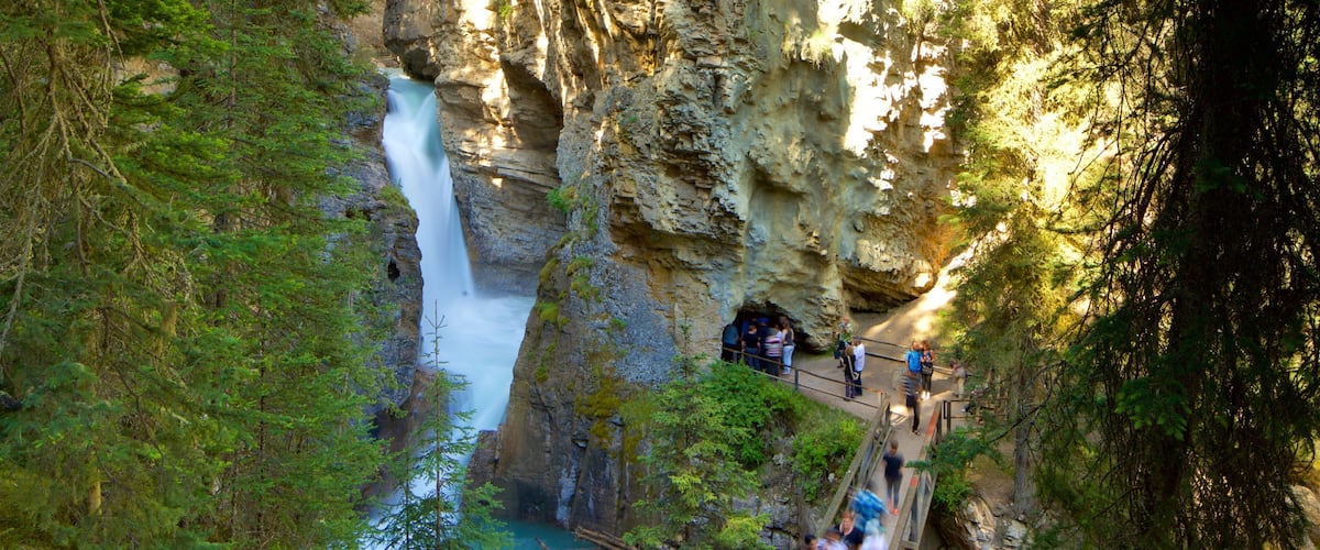 Johnston Canyon showing a river or creek and a gorge or canyon as well as a small group of people