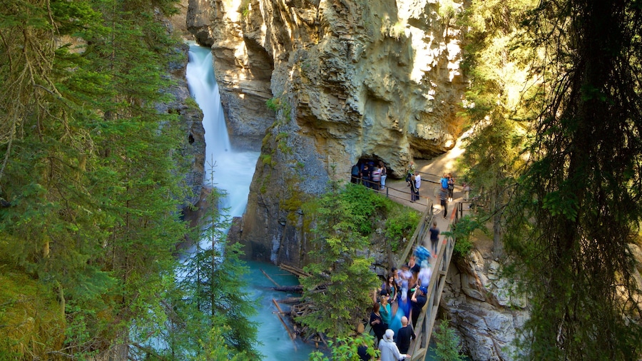 Johnston Canyon which includes a gorge or canyon and a river or creek as well as a small group of people