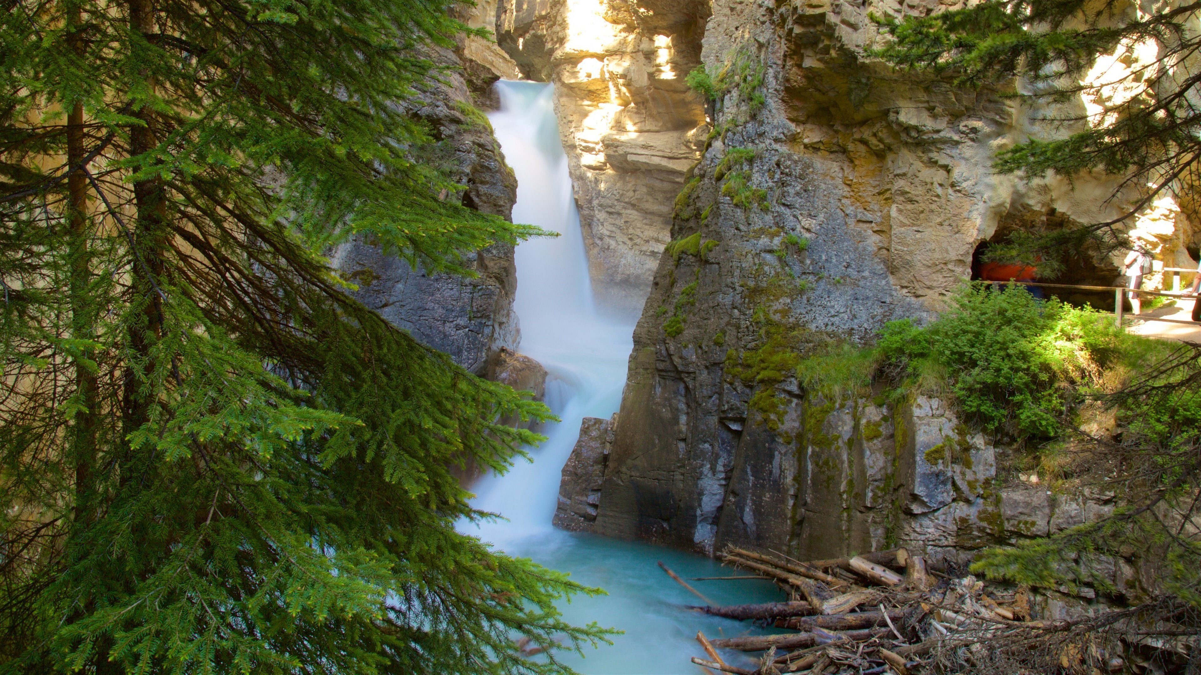 A waterfall cascading down a rocky cliff surrounded by dense green foliage.