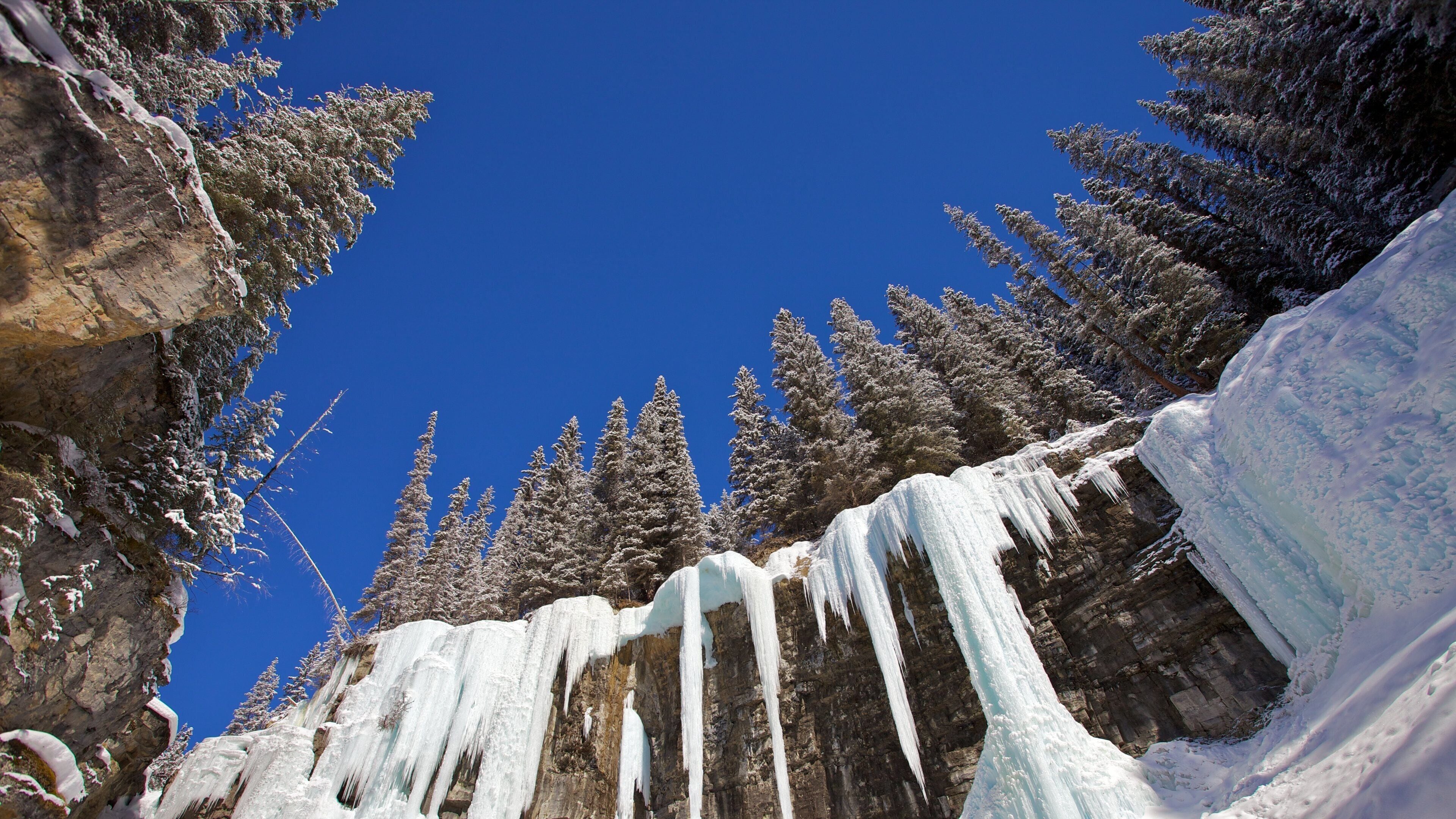A snowy mountain landscape with icicles hanging from a cliff and evergreen trees in the background.