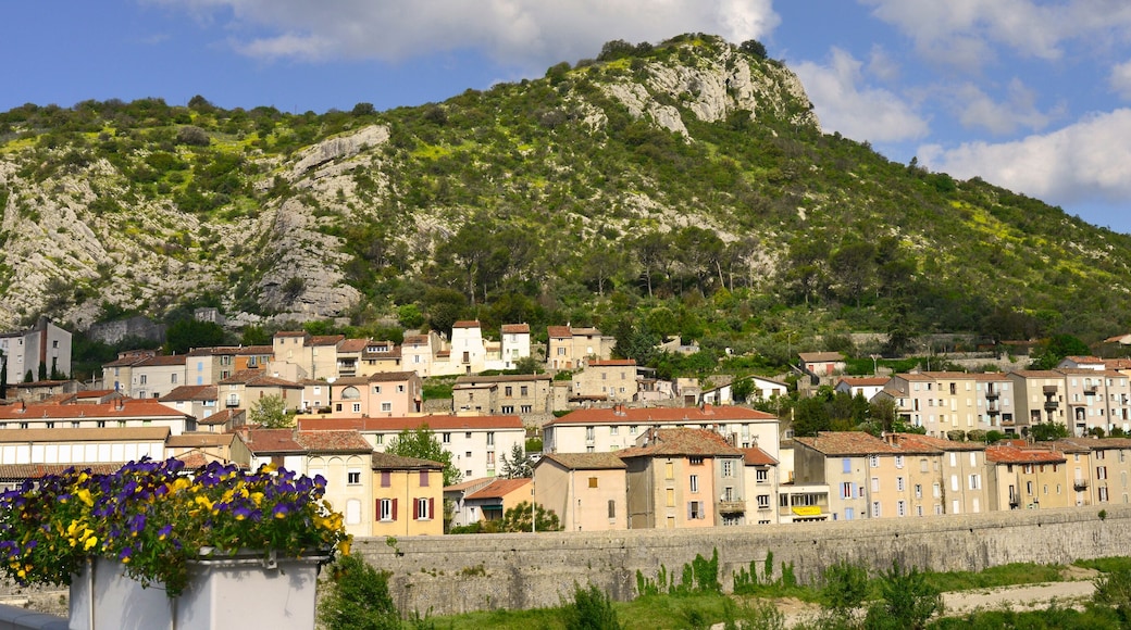 Panoramique de Anduze (30140) par dessus les fleurs, Gard en Occitanie, France