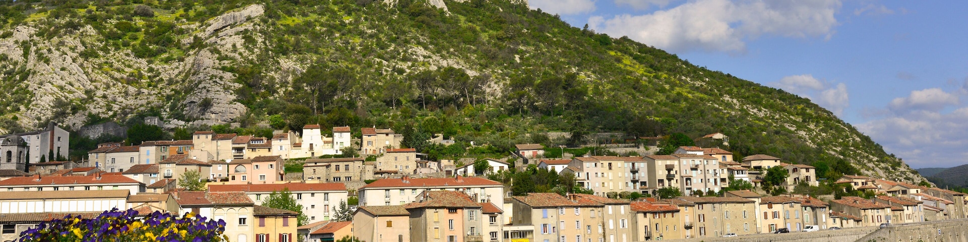Panoramique de Anduze (30140) par dessus les fleurs, Gard en Occitanie, France