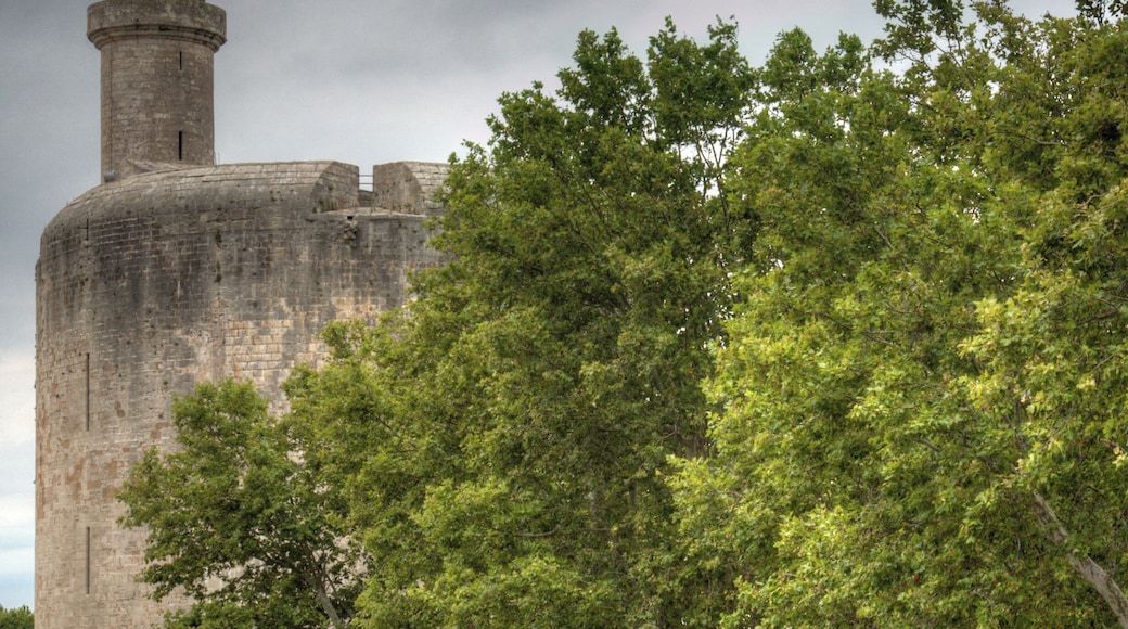 Tower from Aigues-Mortes