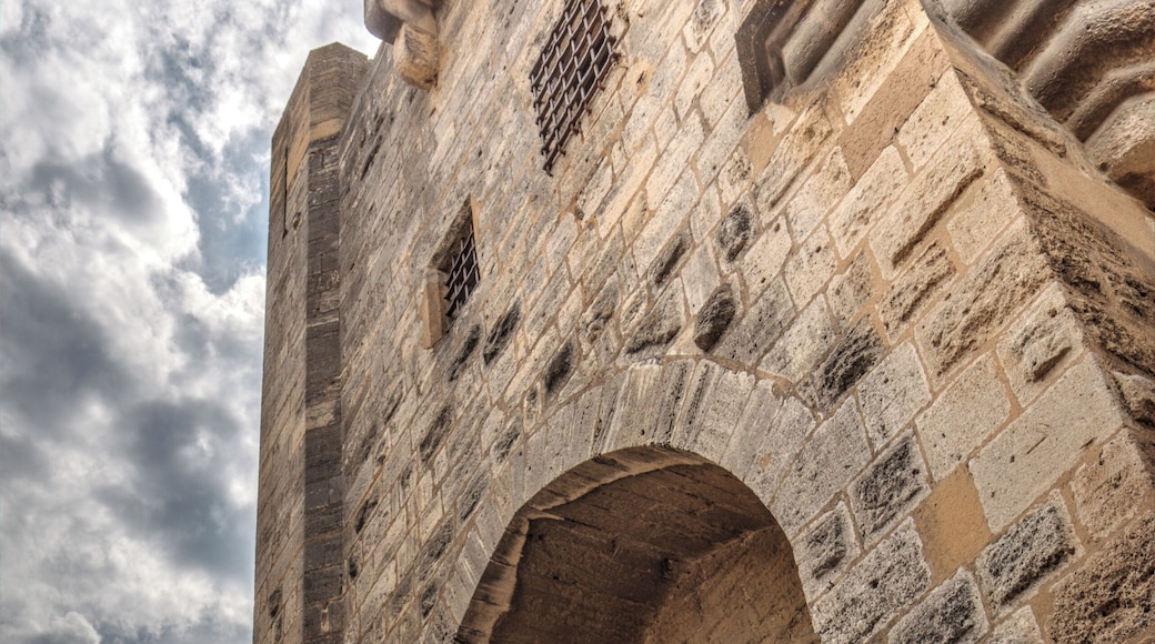 Entrance gate #crusades #mideavle #old