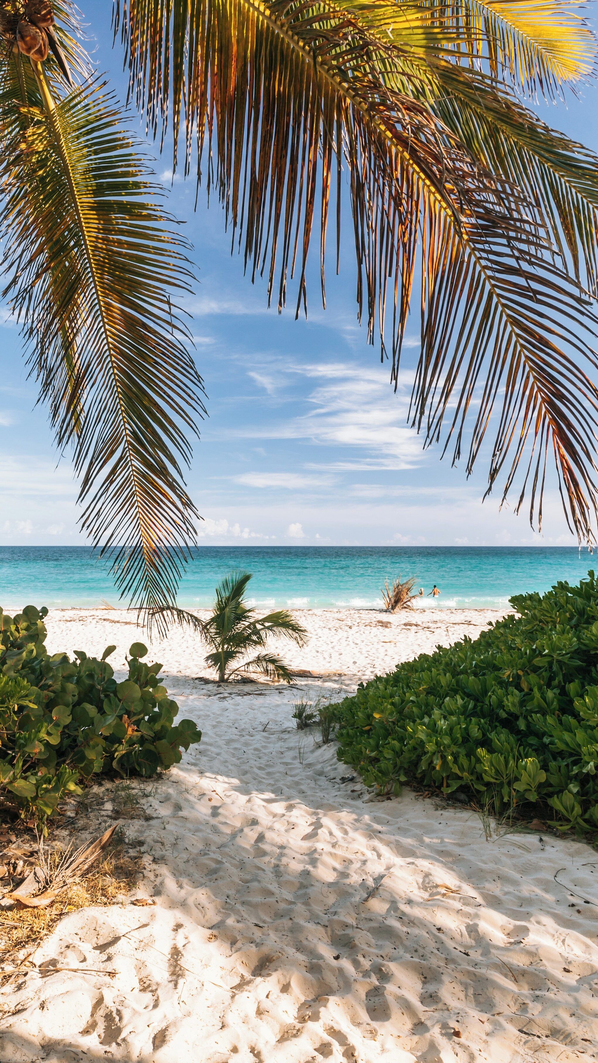 Exploring the tranquil beauty of Navio Beach in Vieques, Puerto Rico on a sunny day with palm trees swaying gently