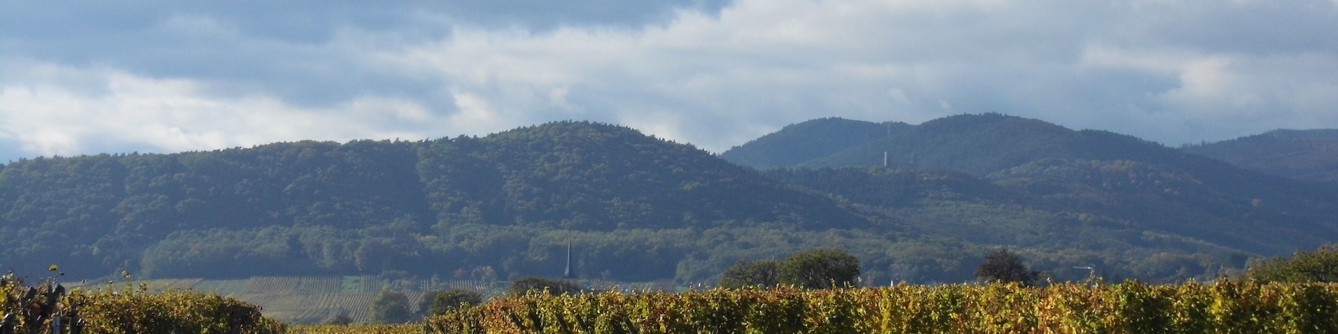 Saint Pierre