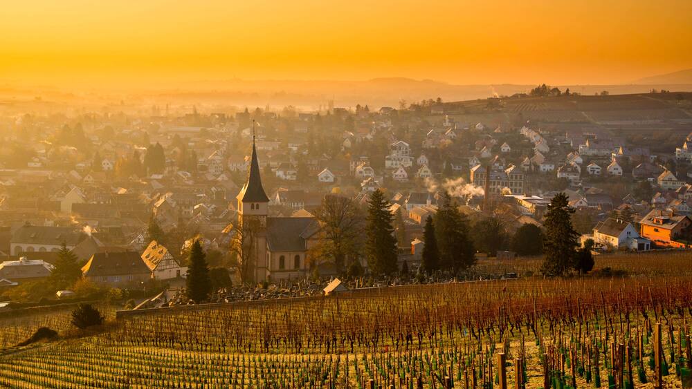 Un vignoble avec des rangĂ©es de vignes, une Ă©glise dotĂ©e dâun clocher imposant, et une ville avec des maisons et des bĂątiments en arriĂšre-plan.