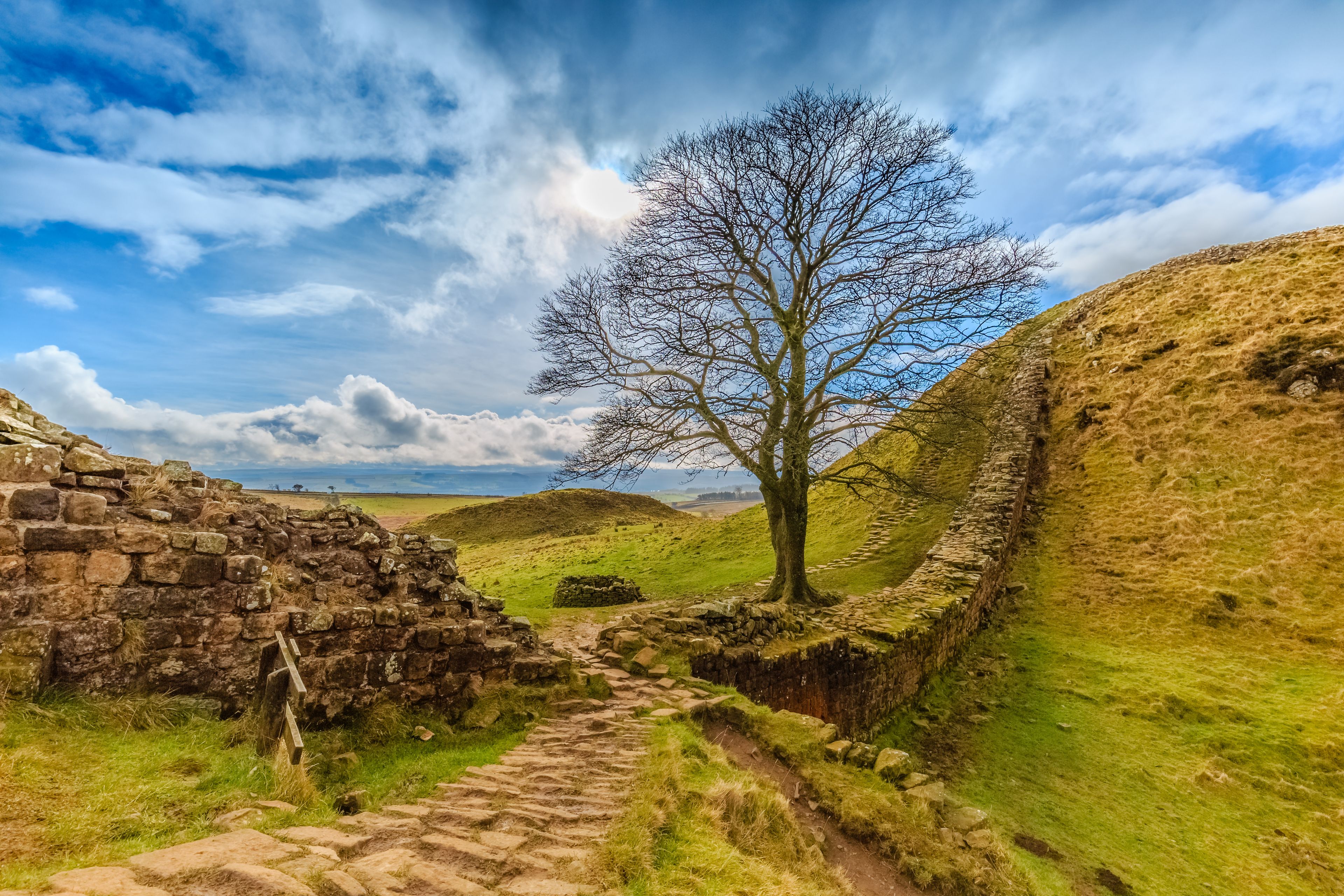 Un sendero de piedra que atraviesa un paisaje cubierto de césped, con un gran árbol sin hojas y muros de piedra.